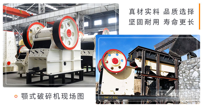 小型鄂破機體型嬌小 小型鄂破機體型嬌小